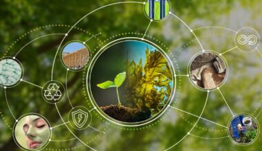 Bio-based Alliance launches to drive sustainable solutions
