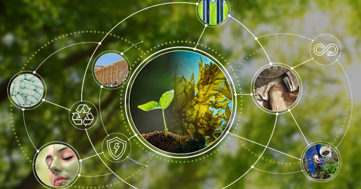 Bio-based Alliance launches to drive sustainable solutions