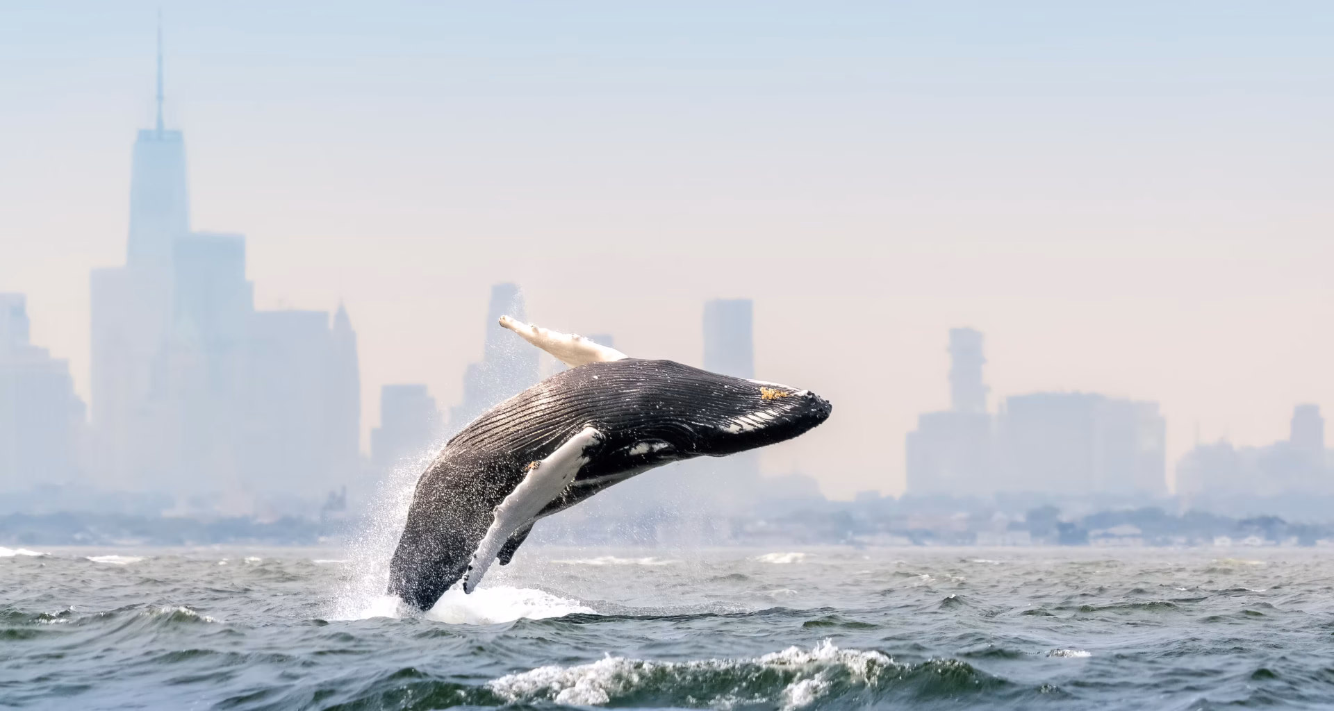 Blue Planet III is keeping the rough edges in the age of AI
