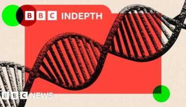 The maths bust-up fuelling fears that AI is undermining science