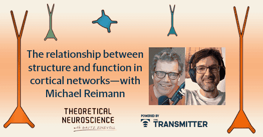 The structure-function relationship in cortical networks