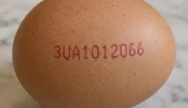 Warning issued about eggs contaminated with salmonella, found in some kosher shops