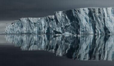 Thwaites Glacier in West Antarctica is the widest glacier on Earth at 80 miles (120 kilometers) across.