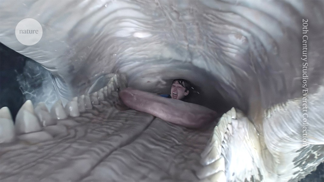 Can a human survive in a whale’s belly? The science behind the thriller Whalefall