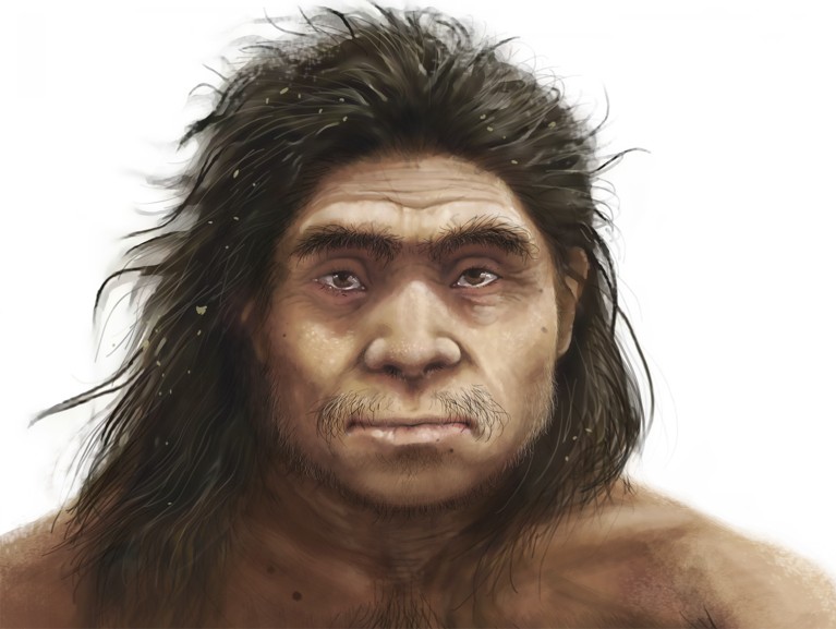 Artwork showing the heavy set facial features of a Denisovan hominid.