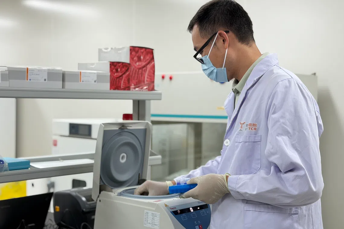 A researcher working on cells at biotech firm LionTCR in Guangzhou.