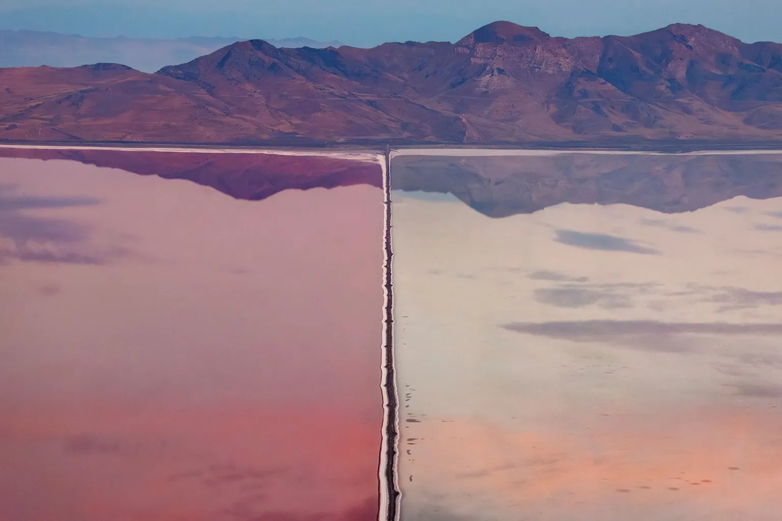 A wetland divided by a road, one side vibrantly pink