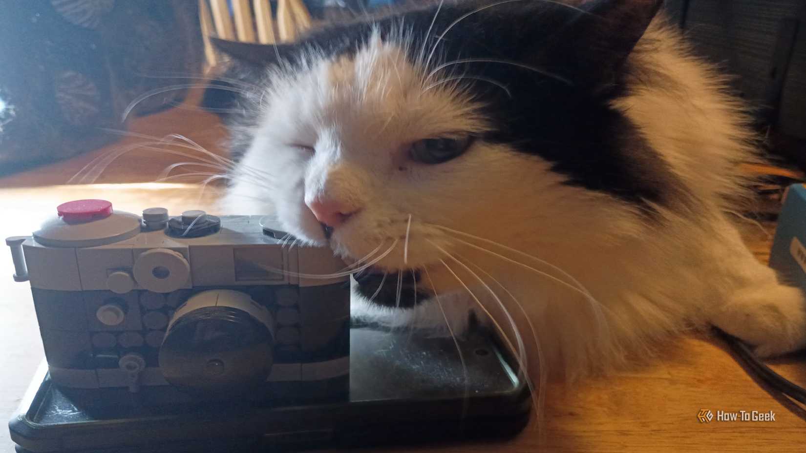 A black and white cat with a lego camera.