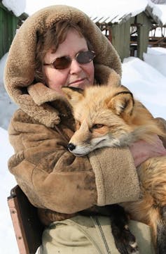 Woman in thick jacket hugging a silver fox against a backdrop of snow