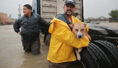 How much rain can a hurricane make, and does the storm size matter?