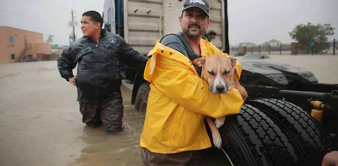 How much rain can a hurricane make, and does the storm size matter?
