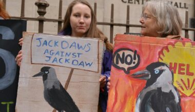 Jackdaw decision could haunt the UK at future climate summits