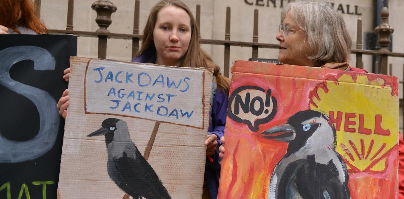 Jackdaw decision could haunt the UK at future climate summits