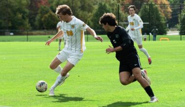 #21 Wildcats Fall to Lions