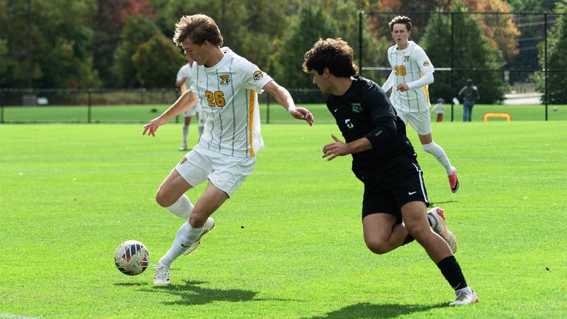 #21 Wildcats Fall to Lions