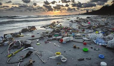 Microplastics: A hidden health threat?