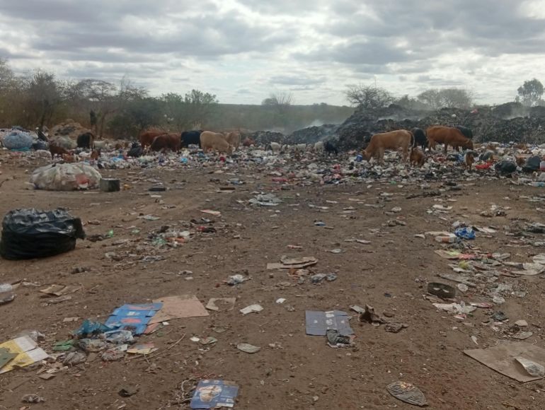 Goats and cattle graze near Zimbabwe’s platinum mining areas, where communities depend on land and natural resources alongside the mining industry.