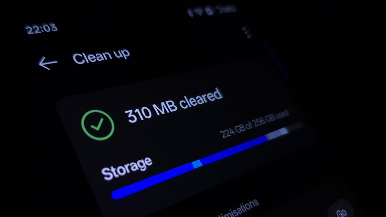 The storage management screen on a 256GB smartphone