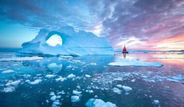 A Giant Iceberg Moved, and a Robot Filmed Over 1,000 Fish Nests Nobody Had Seen