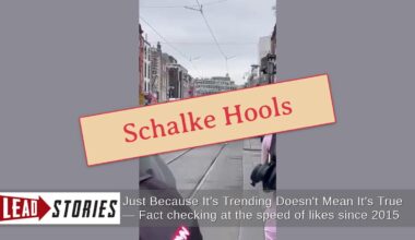 Fact Check: Video Does NOT Show A Large Group Of Muslims Chanting In Dublin In September 2026 -- They Are FC Schalke 04 Hooligans
