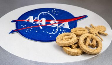 American researchers plan to ‘recycle’ plastic by putting it in your food