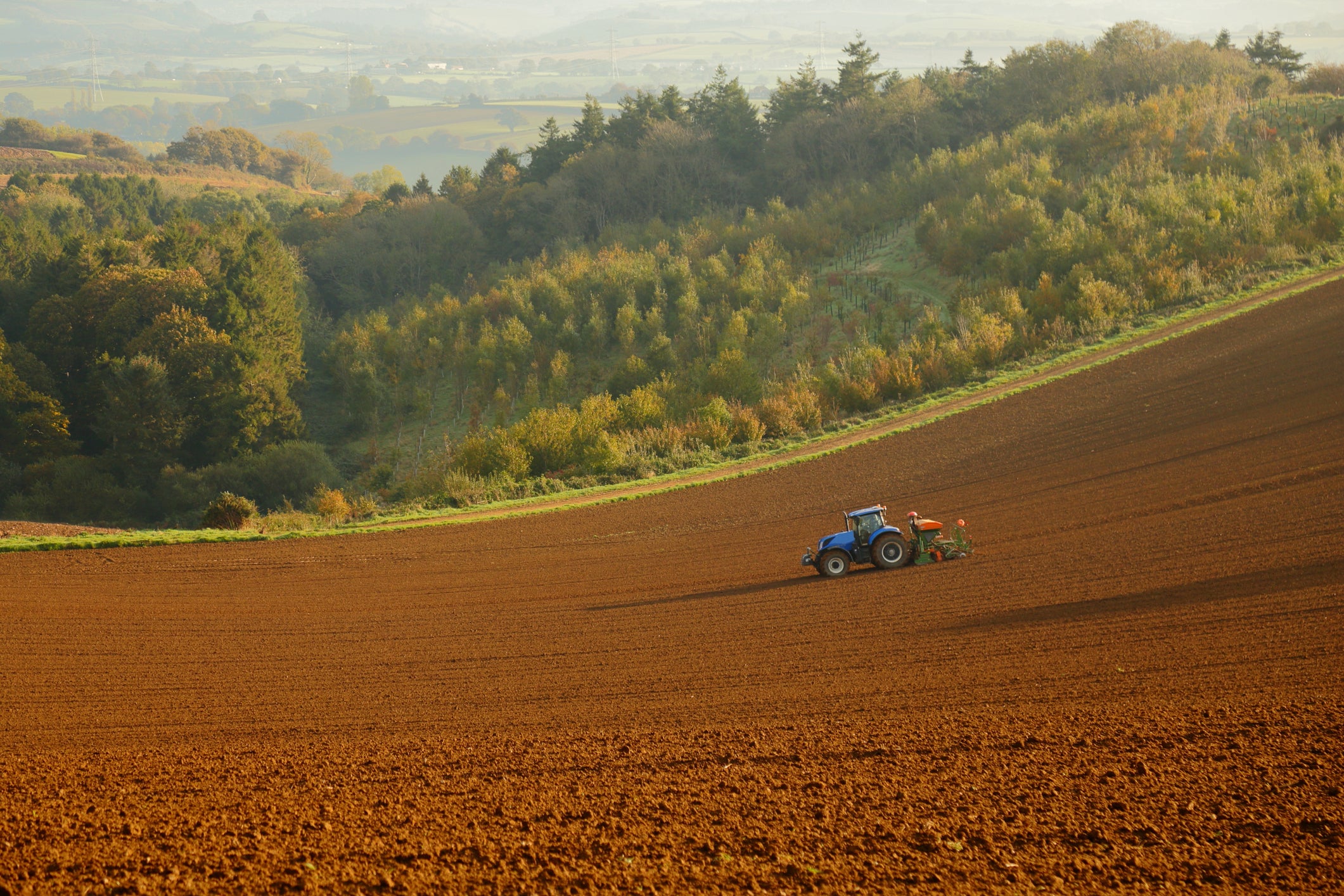 Modern farming has become remarkably good at producing bigger harvests, but the drive for higher yields may have come at the expense of nutritional quality