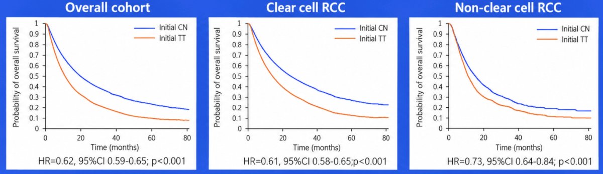 Dr. Leibovich also highlighted an NCDB analysis19 examining initial cytoreductive nephrectomy versus initial targeted therapy among 15,068 patients treated between 2006 and 2013. Of these, 6,731 underwent initial cytoreductive nephrectomy and 8,337 received initial targeted therapy. After inverse probability of treatment weighting to account for treatment selection, initial cytoreductive nephrectomy was associated with improved overall survival in the overall cohort (HR 0.62, 95% CI 0.59–0.65, p < 0.001). Similar findings were observed in patients with clear cell RCC (HR 0.61, 95% CI 0.58–0.65, p < 0.001) and non-clear cell RCC (HR 0.73, 95% CI 0.64–0.84, p < 0.001):
