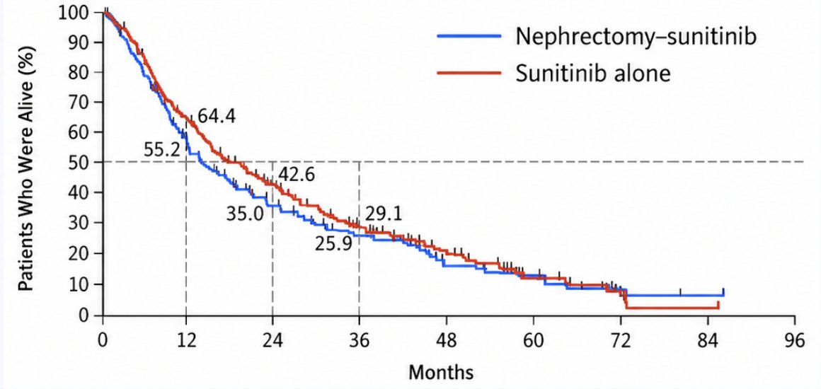 The CARMENA trial subsequently randomized patients with metastatic RCC to nephrectomy followed by sunitinib versus sunitinib alone. The study was designed to enroll 576 patients and directly challenged the assumption that upfront cytoreductive nephrectomy was necessary for all patients receiving systemic therapy. CARMENA demonstrated that sunitinib alone was noninferior to nephrectomy followed by sunitinib for overall survival in the studied population: