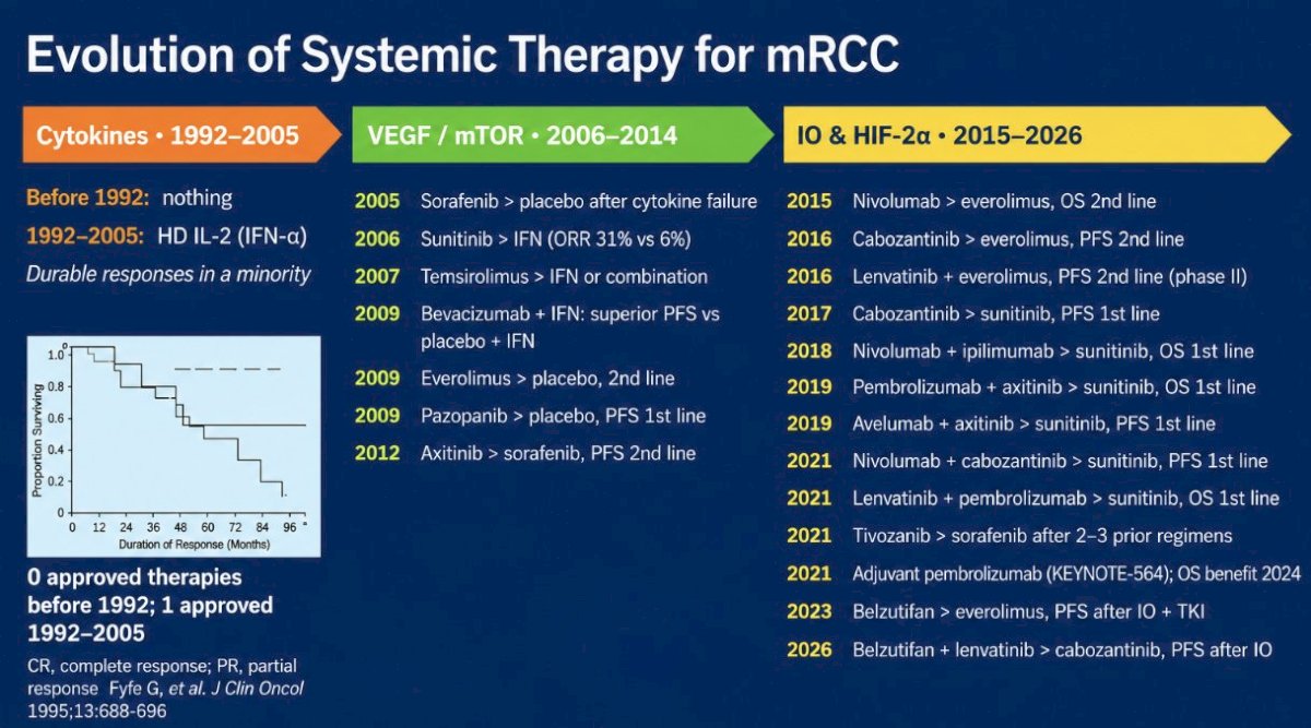 Since the breakthrough immunotherapy era, there have been an additional 13 FDA approvals from 2015-2026: 