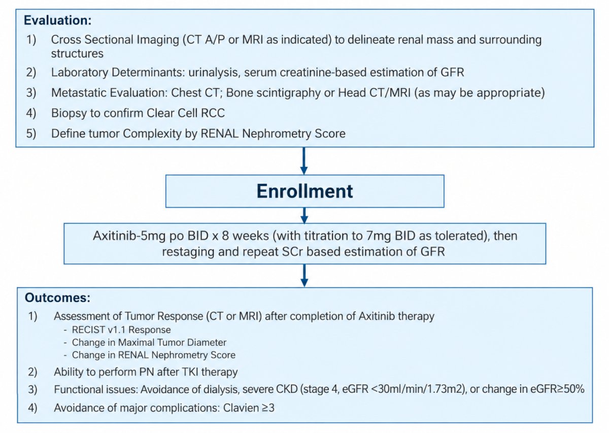 Patients subsequently underwent restaging imaging and repeat serum creatinine-based estimation of GFR. The study assessed tumor response according to RECIST version 1.1, changes in maximal tumor diameter and RENAL nephrometry score, and the ability to perform partial nephrectomy after tyrosine kinase inhibitor therapy. Functional outcomes included avoidance of dialysis, severe CKD (stage 4, eGFR <30 mL/min/1.73 m²), or a decline in eGFR of at least 50%. The investigators also evaluated major complications, including Clavien grade 3 or higher events: