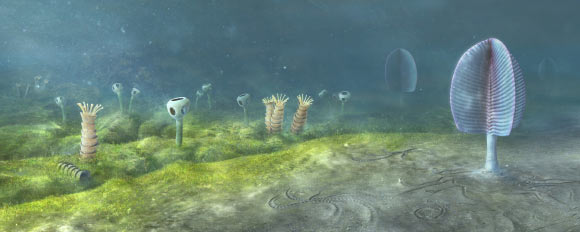 Sea floor in the Ediacaran of Namibia, 543 million years ago. Image credit: Museum of Natural History, University of Oxford / Mighty Fossils.