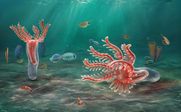 An artist’s impression of Yujingia glutenotunica. Image credit: He et al., doi: 10.1016/j.cub.2026.08.053.