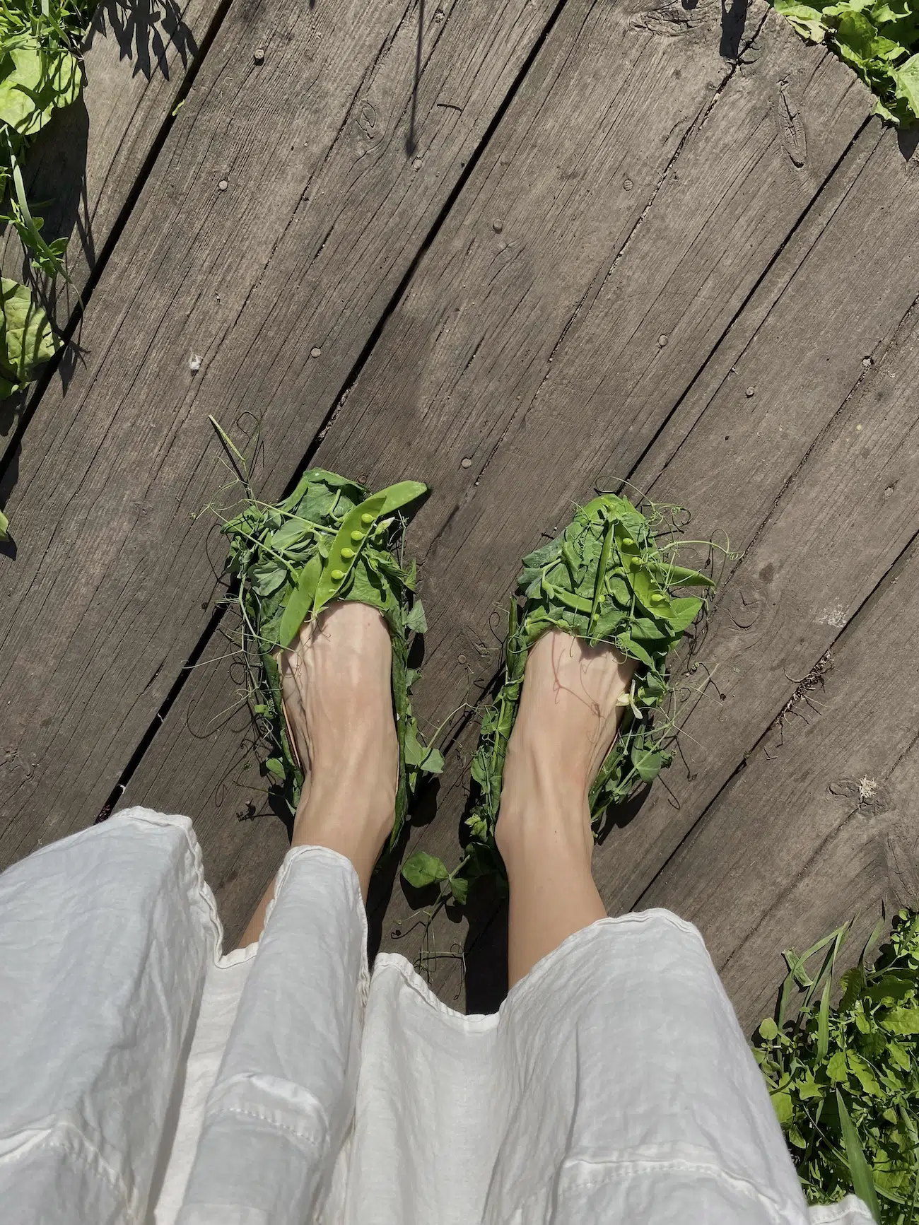 Shoes made from pea sprouts.