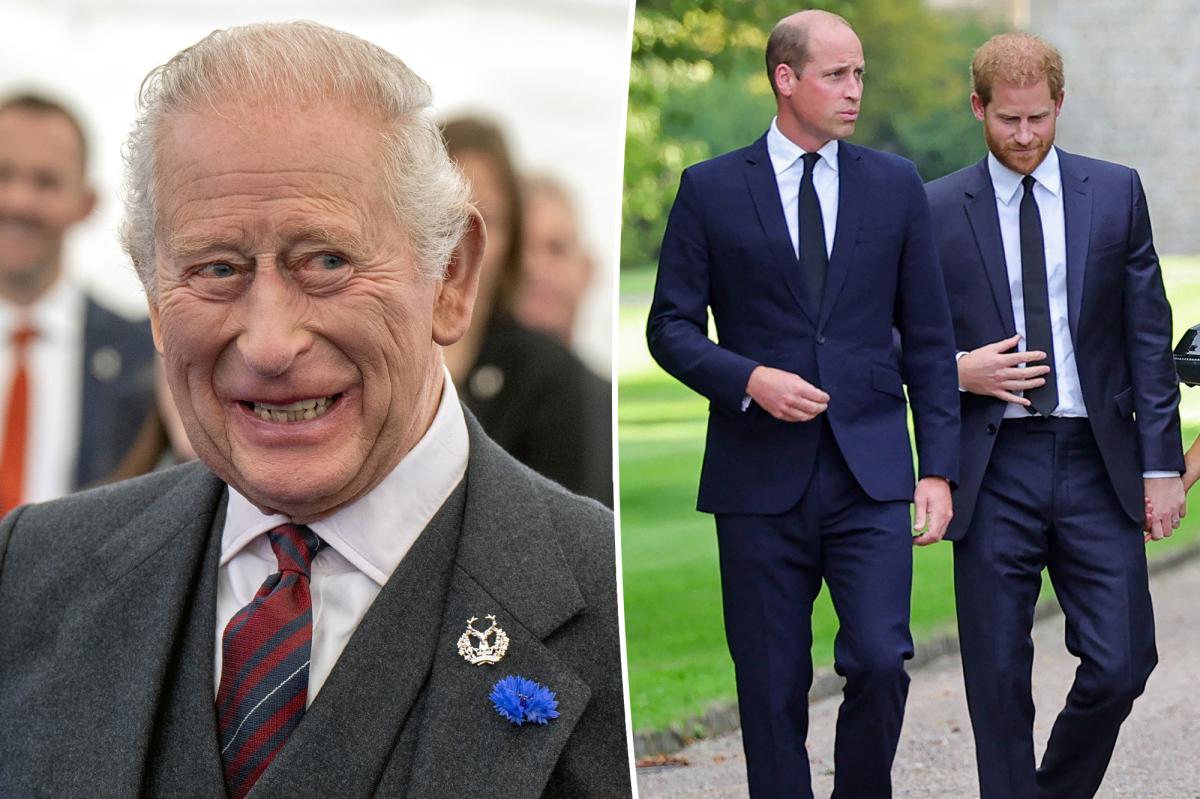 How King Charles plans to 'heal the rift' between sons Prince William, Prince Harry: report