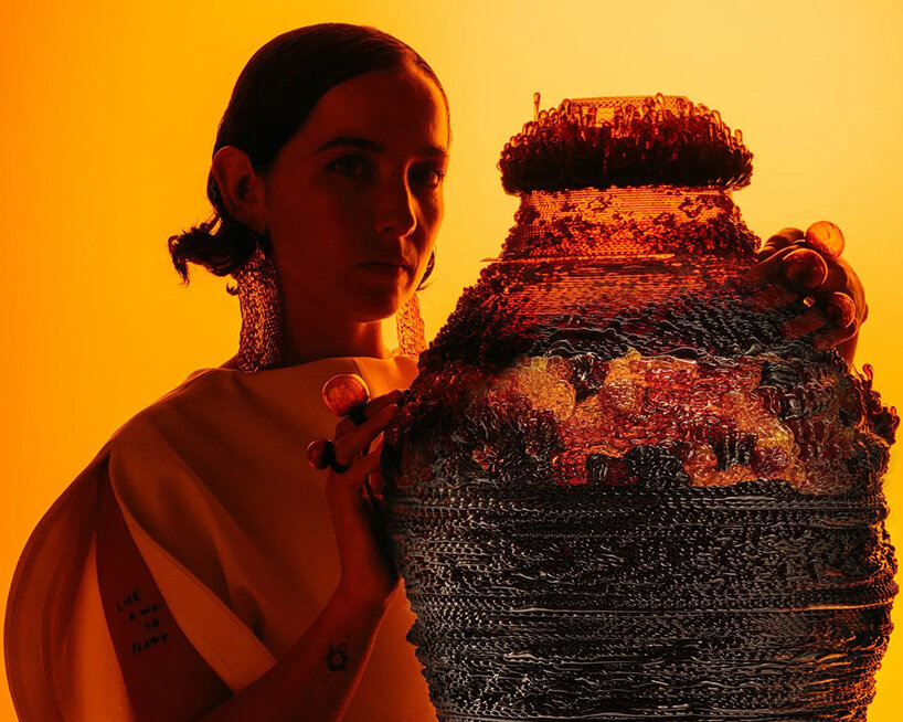 Ori Orisun Merhav insects