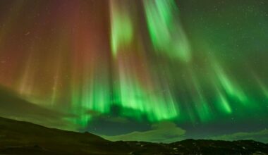 Scientists Shielded Fruit Flies From Earth’s Magnetic Field. Some Lived 20% Longer
