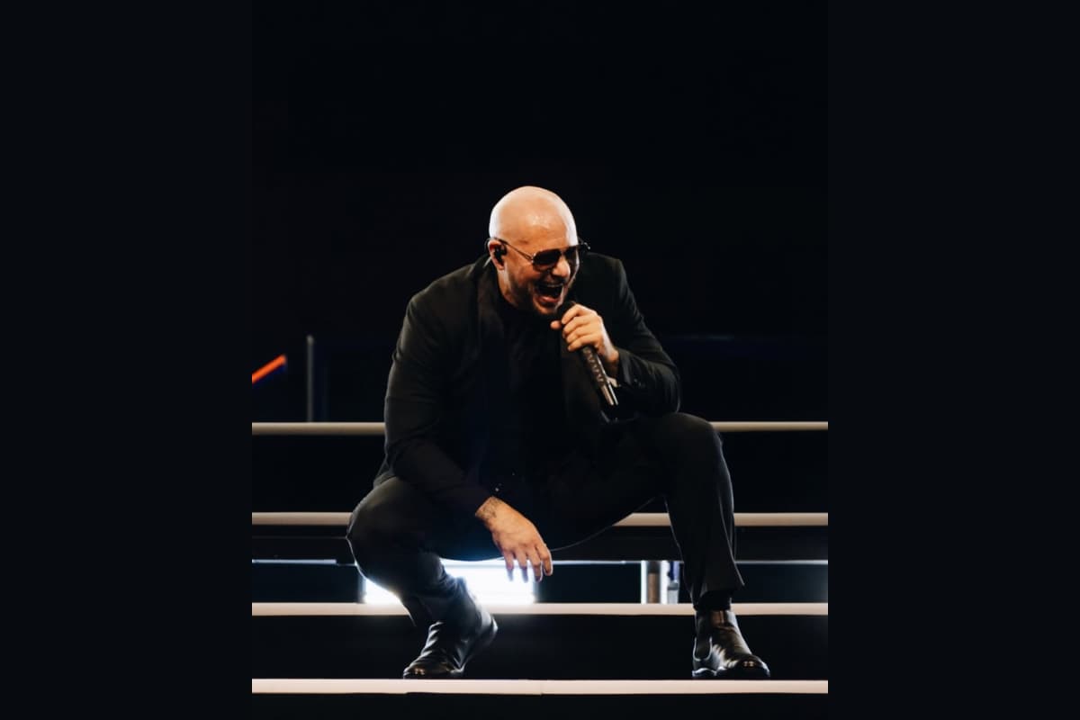 pitbull