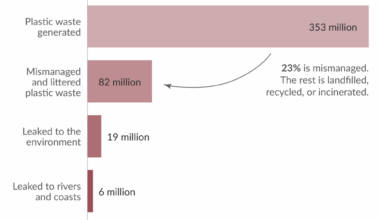 What share of plastic waste ends up in the ocean?