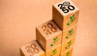 IMO Net-Zero Framework: Japan's proposal sparks debate over climate finance