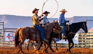 ING webinar on the 2027 rates outlook: The Good, the Bad, and the Ugly