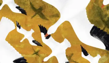 'Snow Geese Season' teaches kids about an awe-inspiring migration : NPR