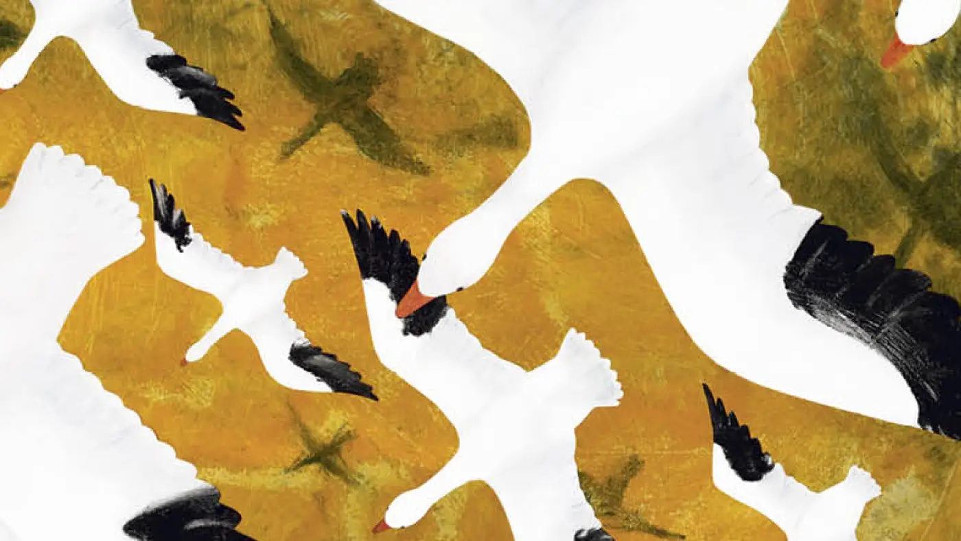 'Snow Geese Season' teaches kids about an awe-inspiring migration : NPR