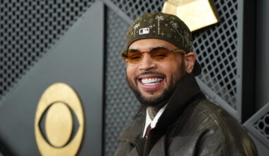 Chris Brown dog attack case: Court grants new trial over $13M payment