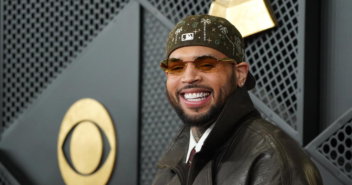 Chris Brown dog attack case: Court grants new trial over $13M payment