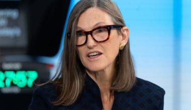 Cathie Wood in an interview.