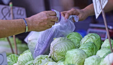 Poll: BSP to hike rates by 25 bps anew