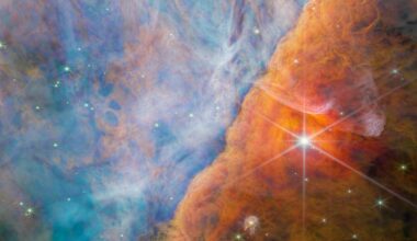 This is the Orion Bar, a ridge-like gas and dust feature in the Orion Nebula. Photochemistry is active in this region, where the light from young stars dominates. Astronomers are studying this region to understand the details of stellar feedback. Image Credit: ESA/Webb, NASA, CSA, M. Zamani (ESA/Webb), the PDRs4All ERS Team