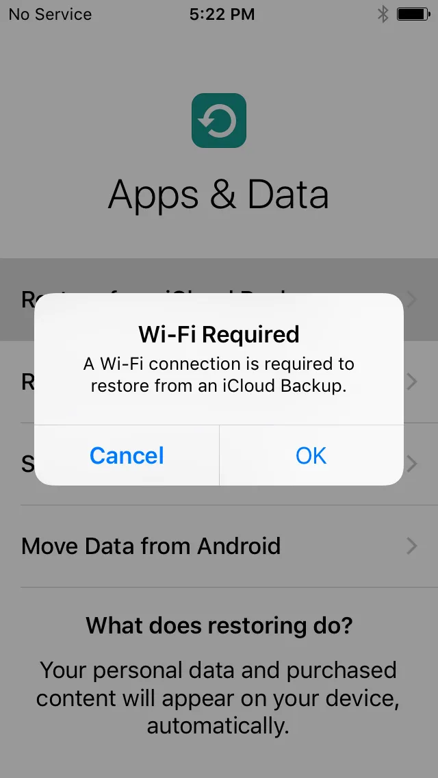 Images showing iPhone data transfer in progress