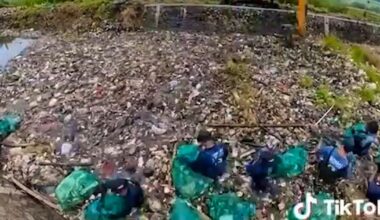 World Clean-Up Day: Just as the internet forgets nothing, nature forgets nothing too