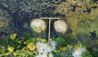 A birds-eye view of two small circular islands surrounded by marshy forest. The island on the right is more sparsely vegetated in this image.